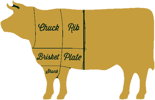 Butcher's chart of a steer: chuck, rib, brisket, plate, and shank marked on the forequarter
